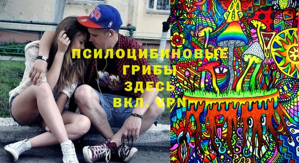 твердый Белокуриха