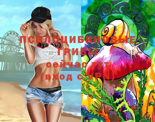 твердый Белокуриха